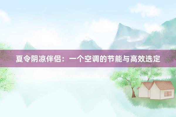 夏令阴凉伴侣：一个空调的节能与高效选定